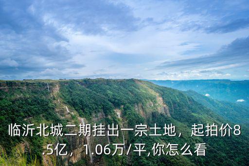 臨沂北城地王土拍多少錢,臨沂北城新地王