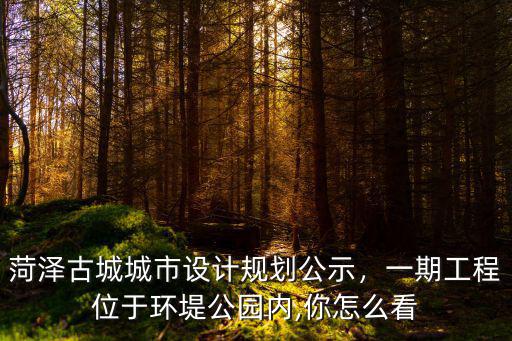 菏澤古城城市設計規劃公示，一期工程位于環堤公園內,你怎么看