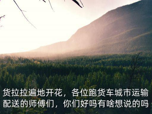 貨拉拉遍地開花，各位跑貨車城市運輸配送的師傅們，你們好嗎有啥想說的嗎