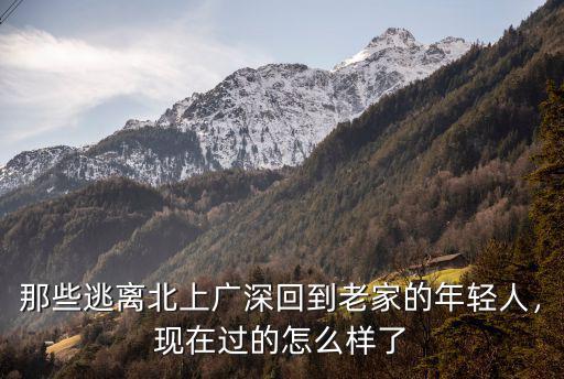 從深圳回老家的都過的怎么樣,現在過的怎么樣了