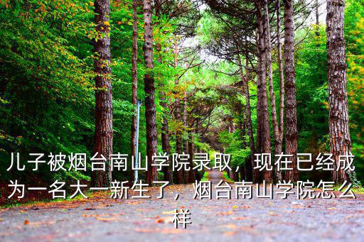 煙臺南山學院招多少人,煙臺南山學院怎么樣