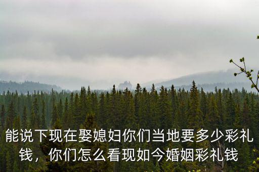 能說下現在娶媳婦你們當地要多少彩禮錢，你們怎么看現如今婚姻彩禮錢