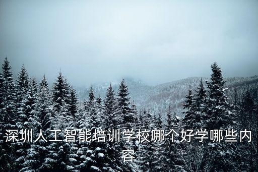 深圳人工智能哪里做得好,哪家公司人工智能做的好