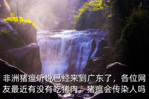 非洲豬瘟聽說已經來到廣東了，各位網友最近有沒有吃豬肉，豬瘟會傳染人嗎