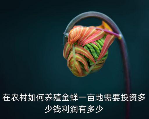 在農村如何養殖金蟬一畝地需要投資多少錢利潤有多少