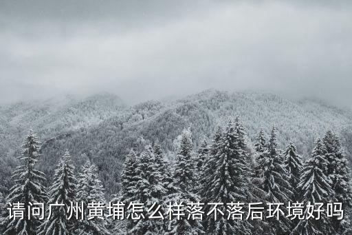 廣州黃埔泰福鑫工作怎么樣,目前在家沒有工作