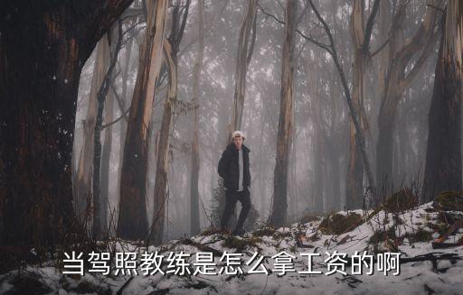 當駕照教練是怎么拿工資的啊