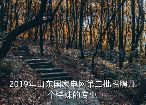 2019年山東國家電網第二批招聘幾個特殊的專業