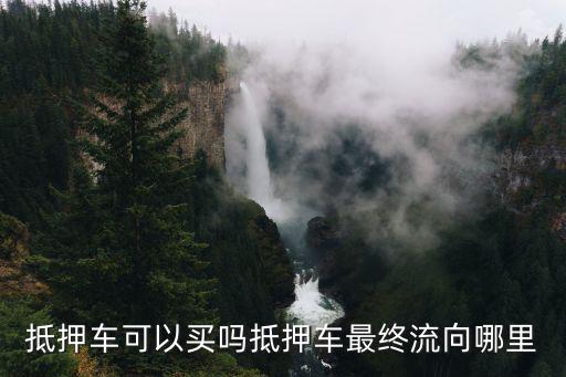 東莞市哪里有抵押車(chē)賣(mài),抵押車(chē)可以買(mǎi)嗎