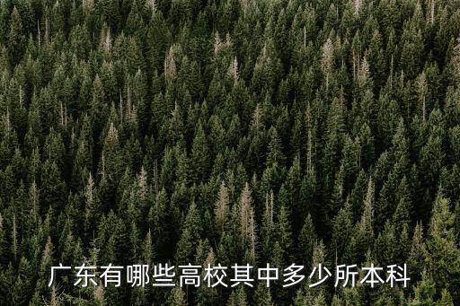 廣東省有多少所大學學校,在廣東省的大學里面
