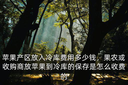 蘋果產區放入冷庫費用多少錢，果農或收購商放蘋果到冷庫的保存是怎么收費的
