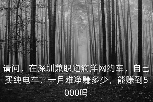 深圳純電車跑滴滴一天賺多少錢,在深圳兼職跑滴洋網約車