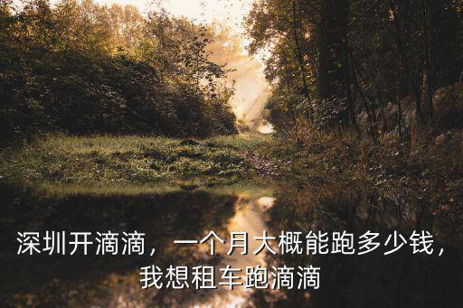 深圳坪山跑滴滴一天多少錢,在深圳跑滴滴