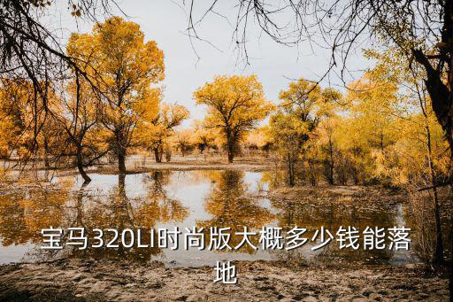東莞寶馬320li多少錢落地,寶馬320li落地多少錢