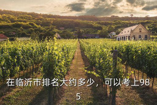 在臨沂市排名大約多少，可以考上985