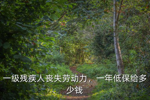 一級(jí)殘疾人喪失勞動(dòng)力，一年低保給多少錢