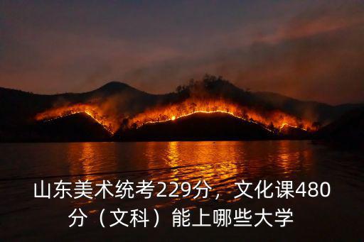 山東美術(shù)統(tǒng)考229分，文化課480分（文科）能上哪些大學(xué)