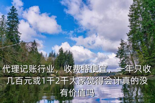 東莞代理記賬報稅收費怎么樣,代理記賬行業