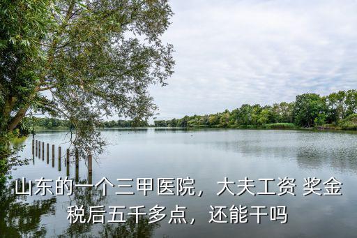 山東的一個三甲醫(yī)院，大夫工資 獎金稅后五千多點，還能干嗎