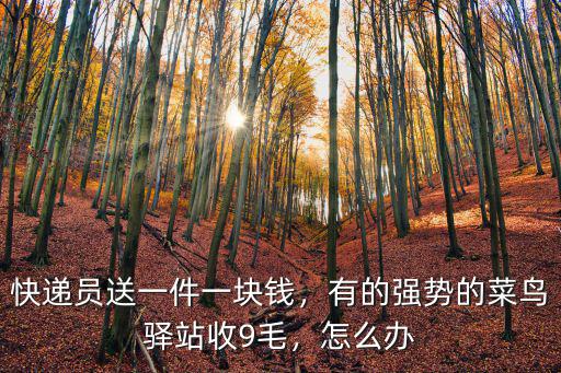 快遞員送一件一塊錢，有的強勢的菜鳥驛站收9毛，怎么辦