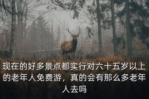 現在的好多景點都實行對六十五歲以上的老年人免費游，真的會有那么多老年人去嗎