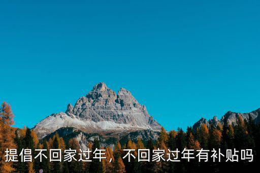 提倡不回家過年，不回家過年有補(bǔ)貼嗎