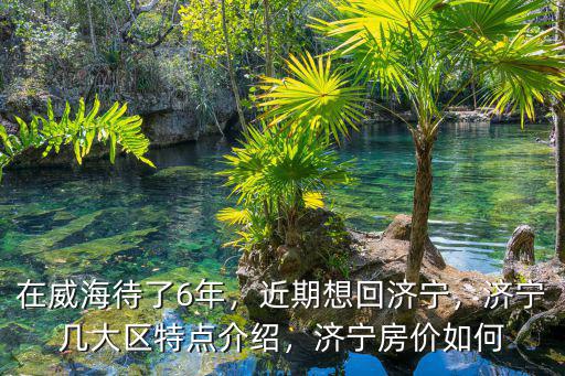 奉節回濟寧要多少錢,近期想回濟寧