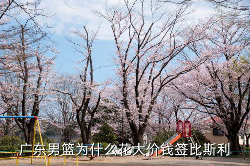 比斯利廣東身高多少,比斯利不好用嗎