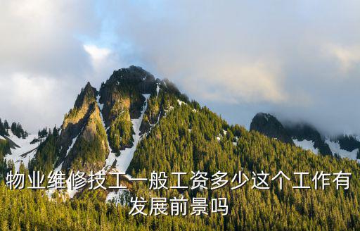 物業(yè)維修技工一般工資多少這個(gè)工作有發(fā)展前景嗎