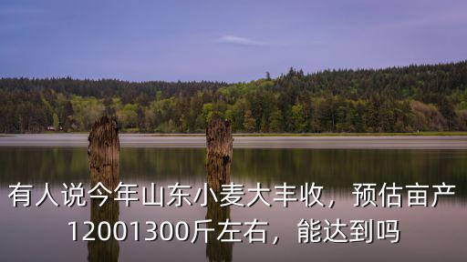 山東濟陽小麥多少錢,河南的小麥大概是多少錢一斤