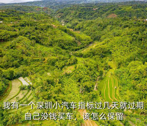 我有一個深圳小汽車指標過幾天就過期自己沒錢買車，該怎么保留