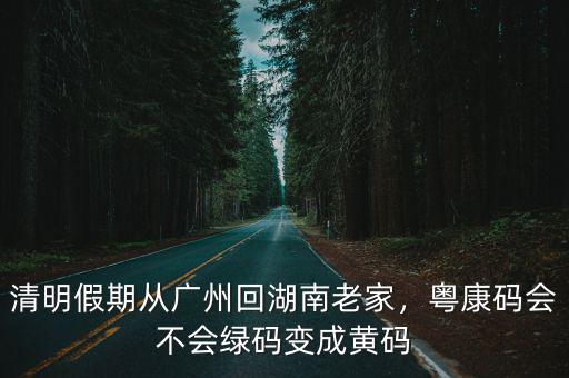 廣州黃碼怎么轉(zhuǎn)綠碼,粵康碼會不會綠碼變成黃碼