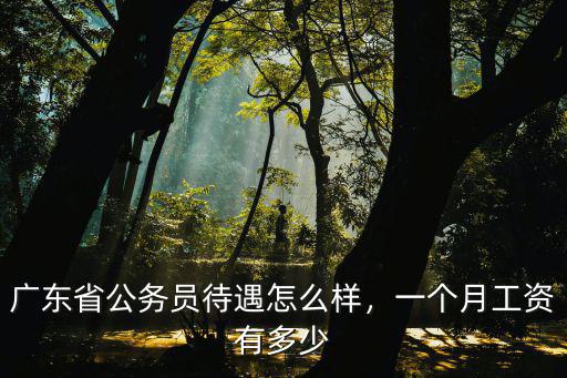 廣東省公務(wù)員待遇怎么樣，一個月工資有多少