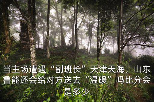 當主場遭遇“副班長”天津天海，山東魯能還會給對方送去“溫暖”嗎比分會是多少