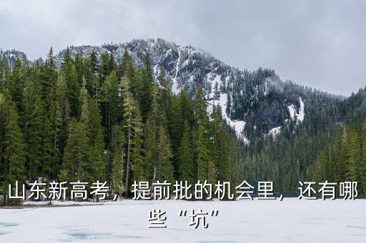 山東新高考提前批錄取了多少人,山東新高考提前批幾個志愿