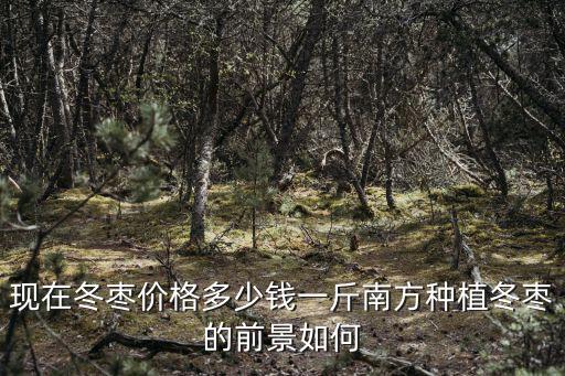 濱州的冬棗現(xiàn)在多少錢,山西的冬棗和山東的冬棗相比