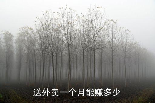 送外賣一個月能賺多少