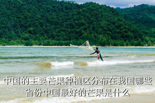 中國的主要芒果種植區分布在我國哪些省份中國最好的芒果是什么