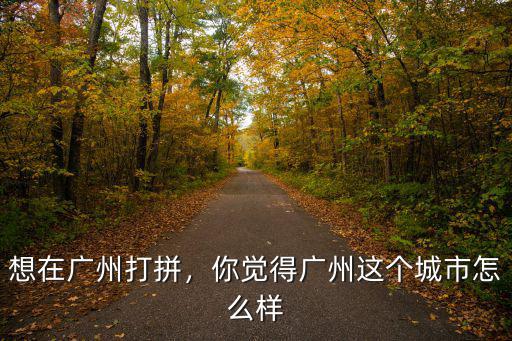 想在廣州打拼，你覺得廣州這個城市怎么樣