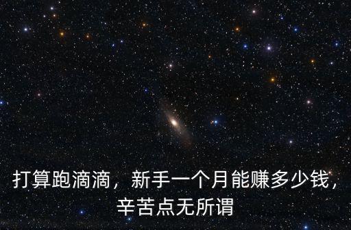 打算跑滴滴，新手一個(gè)月能賺多少錢(qián)，辛苦點(diǎn)無(wú)所謂