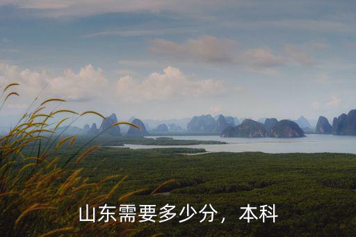 山東省近三年的本科分數是多少分,距離一本線大約相差多少分