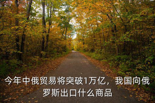 今年中俄貿易將突破1萬億，我國向俄羅斯出口什么商品