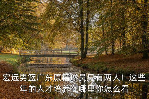 宏遠男籃廣東原籍球員只有兩人！這些年的人才培養在哪里你怎么看