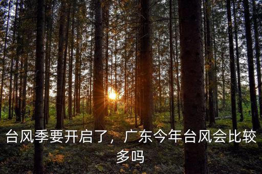臺風季要開啟了，廣東今年臺風會比較多嗎