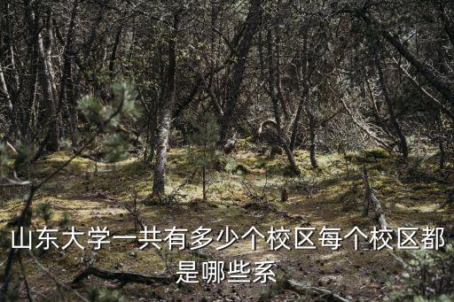 山東大學一共有多少個校區每個校區都是哪些系