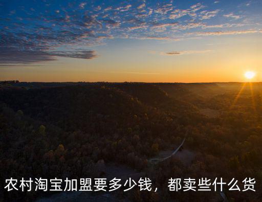 農村淘寶加盟要多少錢，都賣些什么貨