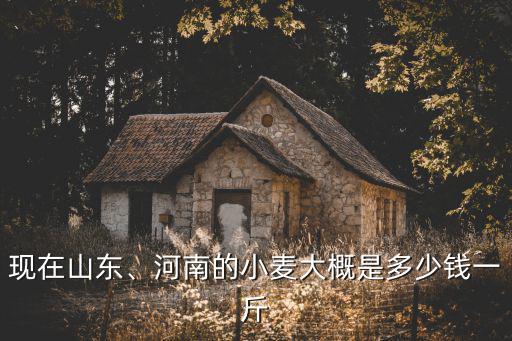 現在玉米多少錢一斤山東小麥價格,小麥現價多少錢一斤
