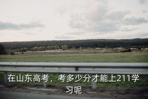 山東美術(shù)高考綜合分多少才能上211985,考多少分才能上211學習呢