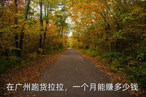 佛山貨拉拉每個月收入多少,貨拉拉司機一個月能賺多少錢