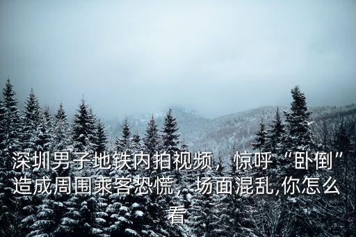 怎么看深圳視頻,深圳男子地鐵內拍視頻
